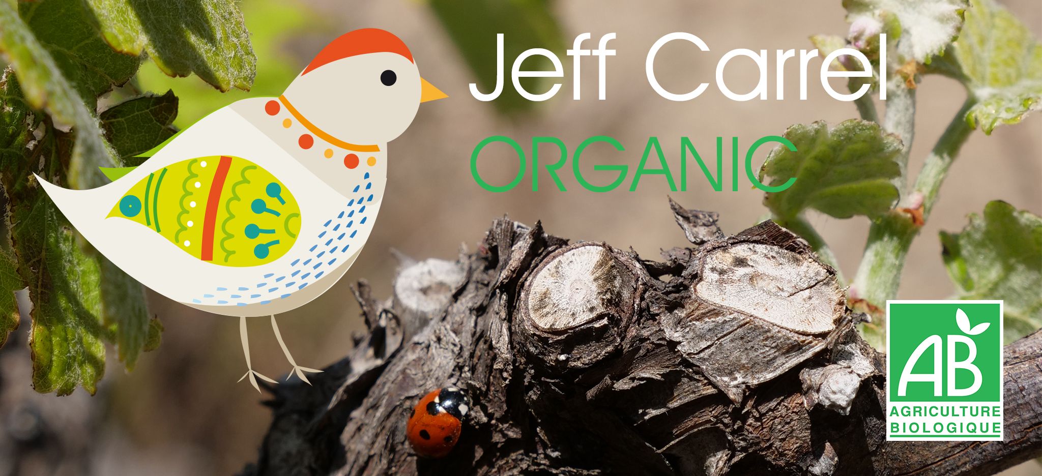 Jeff Carrel vin bio et sans sulfites