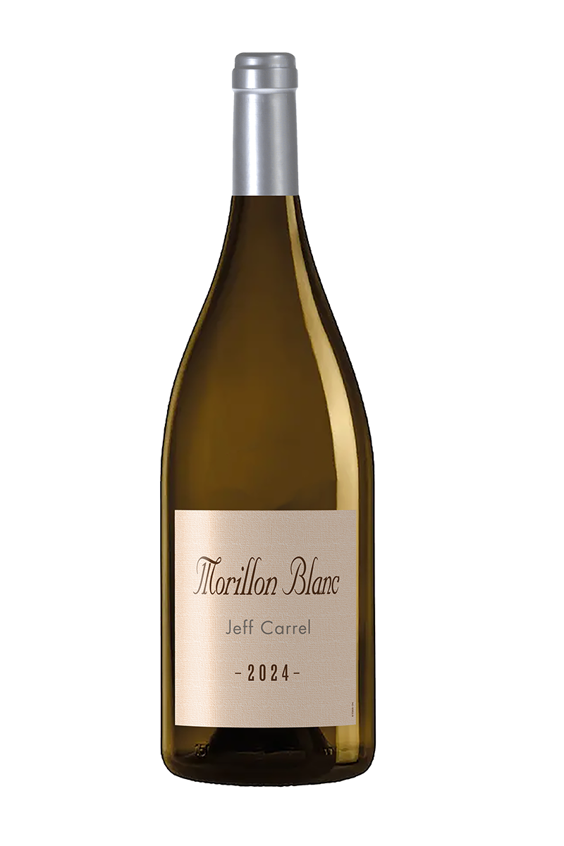 MORILLON by Jeff Carrel vin blanc