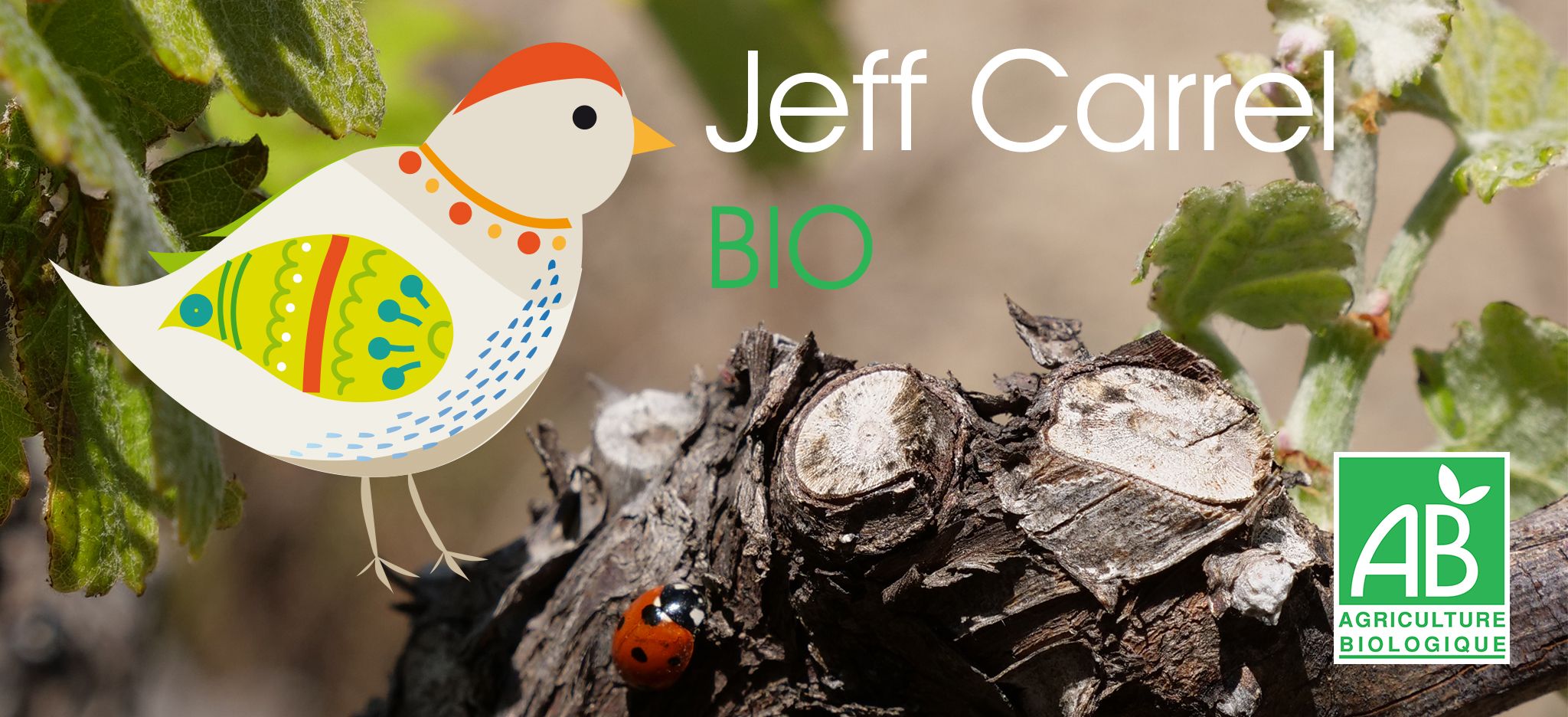 Point de Vue vins bio Jeff Carrel