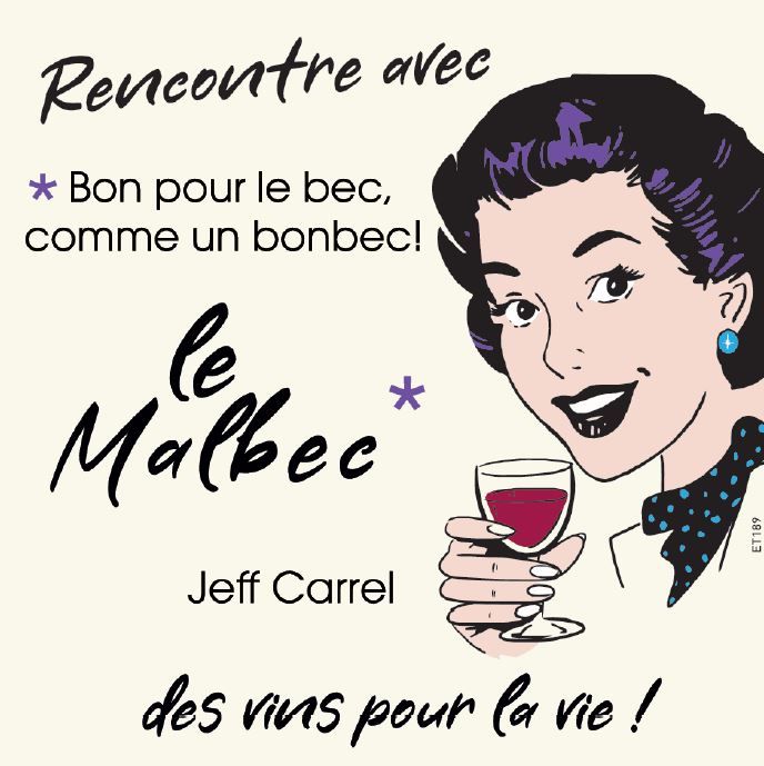 A VUE DE NEZ vin sans soufre POINT DE VUE by Jeff Carrel Etiquette